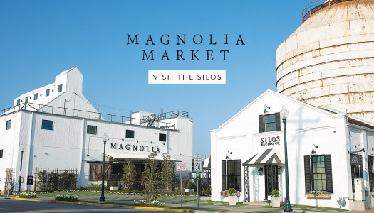 magnolia
